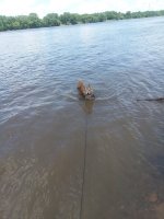 20170529_154545.jpg